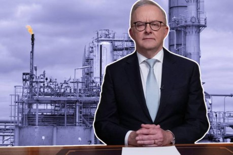 Future plan on fuel should be central to reform agenda