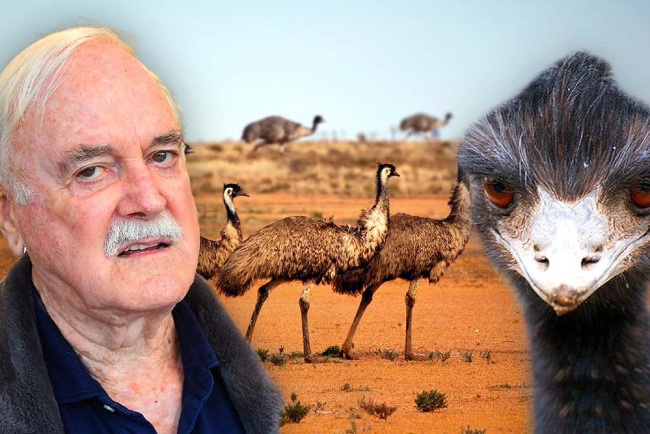 John Cleese will star in <i>The Great Emu War</i>. 