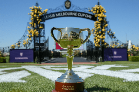 All eyes are on one horse for Melbourne Cup