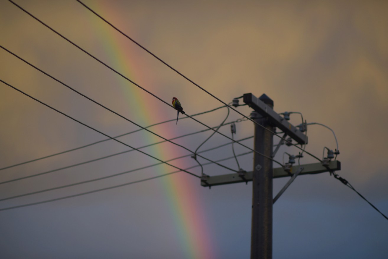 Some areas of western NSW could experience a month's worth of a rain within a 24-hour period.