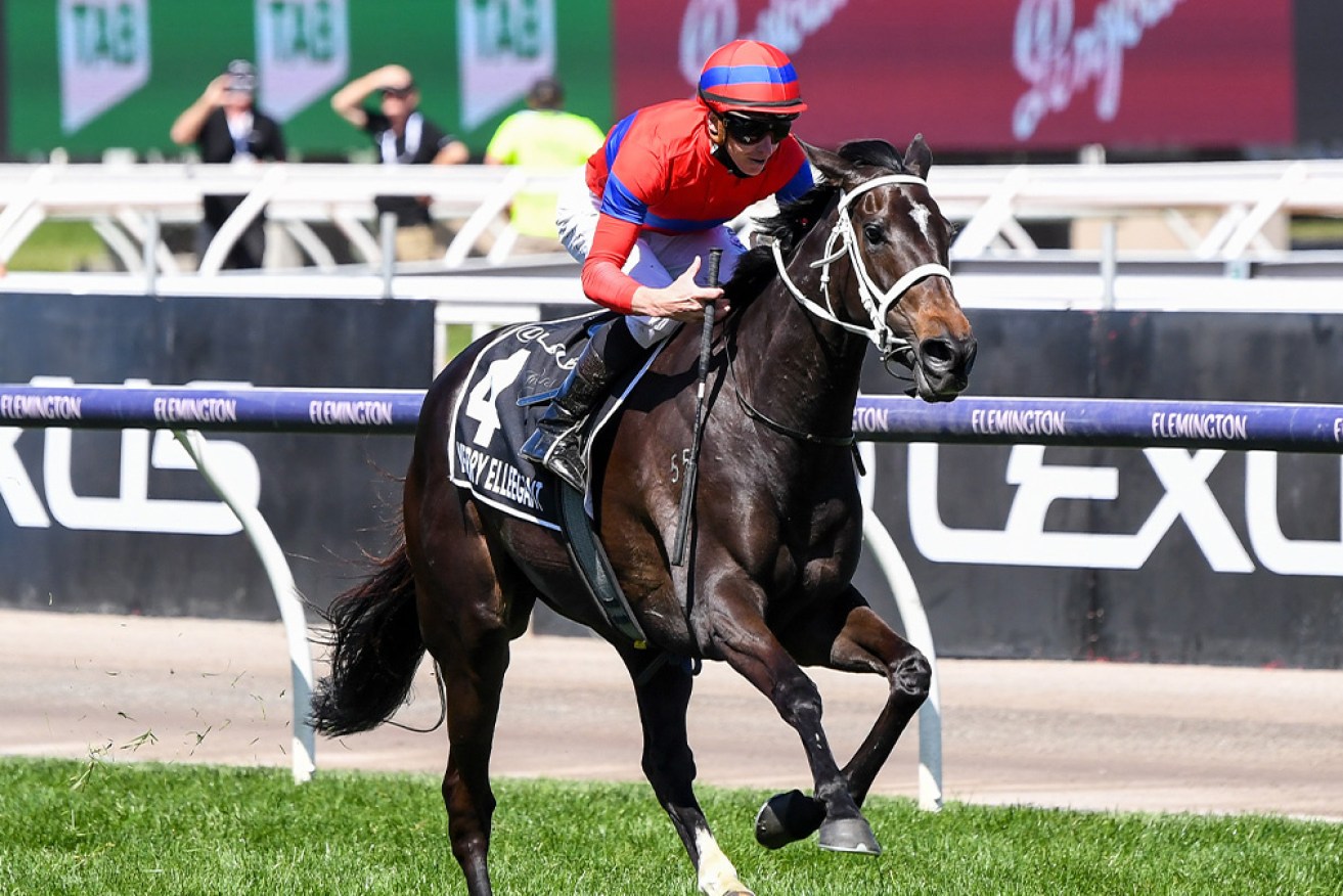 Verry Elleegant (NZ) ridden by James McDonald wins the Lexus Melbourne Cup at Flemington Racecourse. 