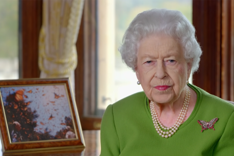 Queen excludes Prince Harry from COP26 speech