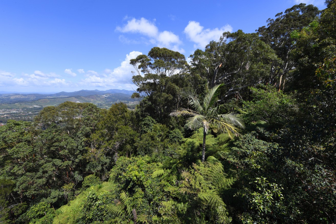 Australia has signed a global pact to address deforestation and land owners are keen for details.