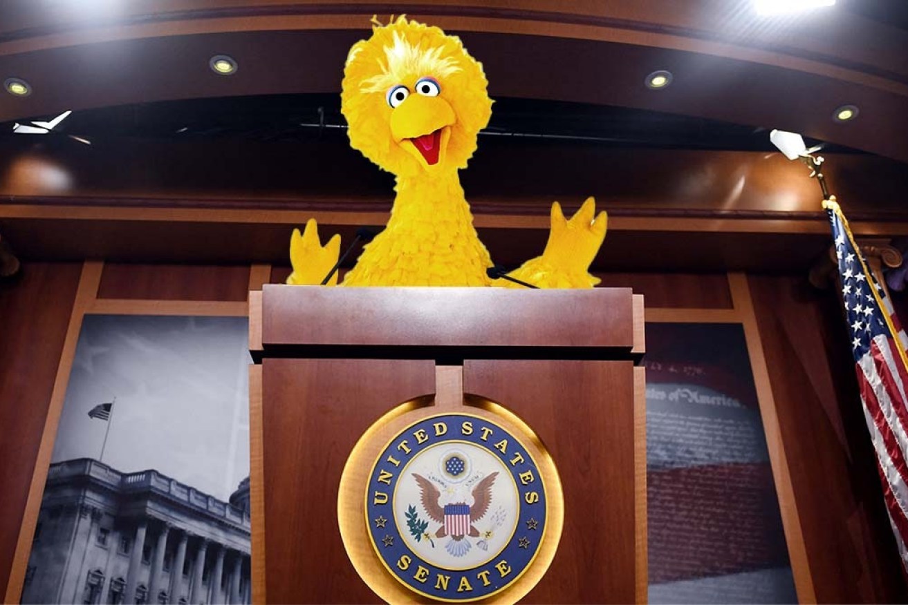A large, yellow bird puppet is running for Congress after a fictional COVID jab.