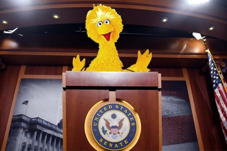Big Bird bids to replace Ted Cruz in Senate