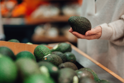 Avocado prices plummet after record harvest