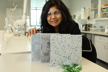 Waste research scientist Veena Sahajwalla named NSW Australian of the Year