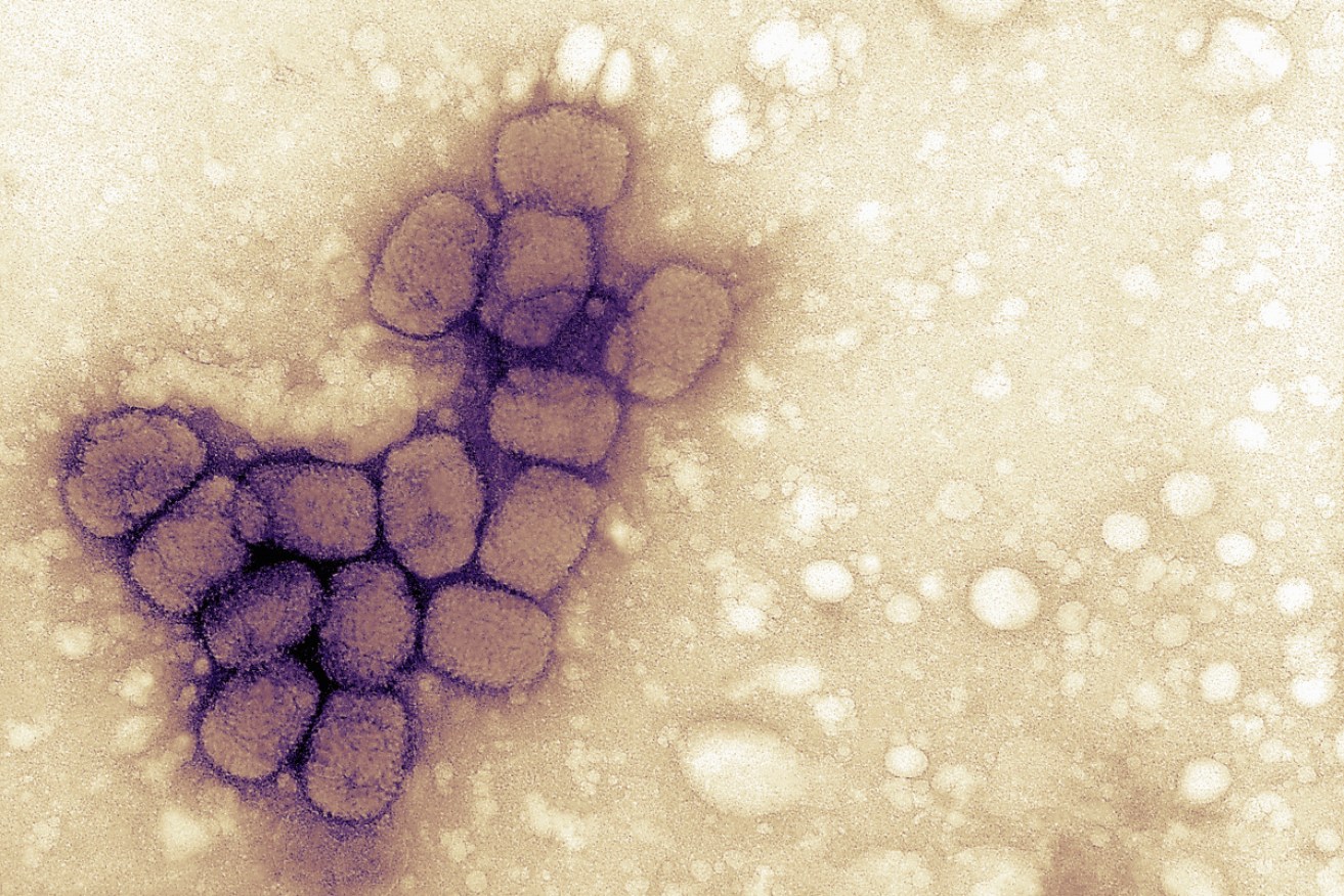 Previously unknown frozen vials of smallpox have been found in a laboratory in Pennsylvania.