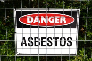 Watchdog rubbishes call for asbestos task force
