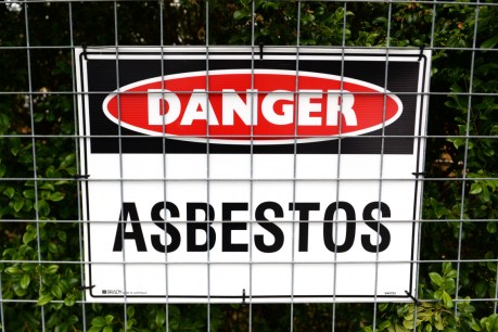 Rozelle parkland cordoned off as more asbestos is found