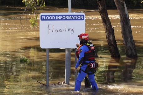 Two boys rescued in flooded NSW river