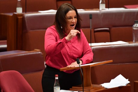 Senator claims One Nation leaked her phone number