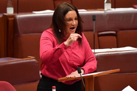 Coalition senators accused of 'growling' at Lambie