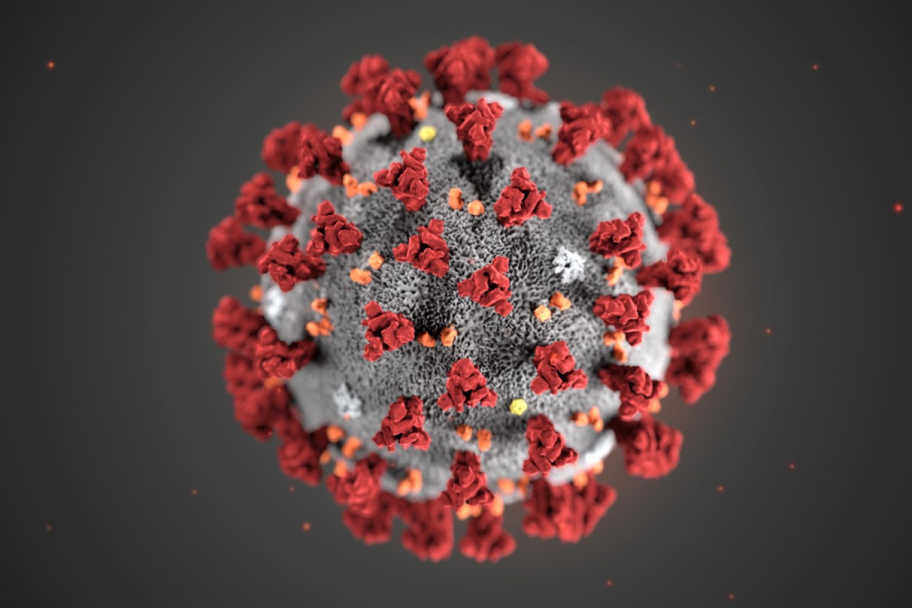 Scientists say the new COVID-19 variant B.1.1.529 has a "very unusual constellation" of mutations.