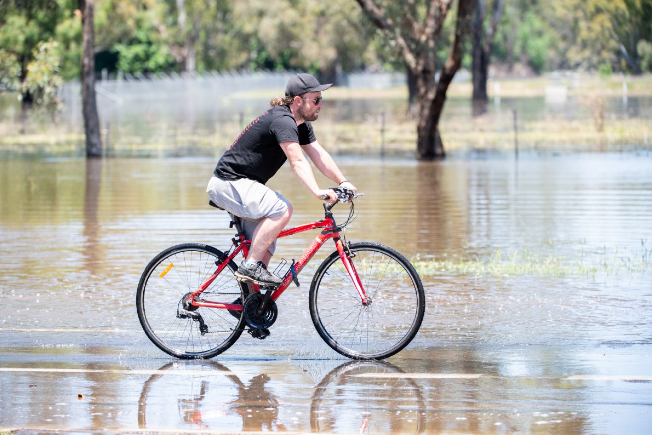 Floodwaters are subsiding in the Lachlan River at Forbes.