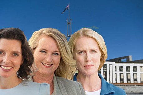 Three independent women out to claim Liberal scalps