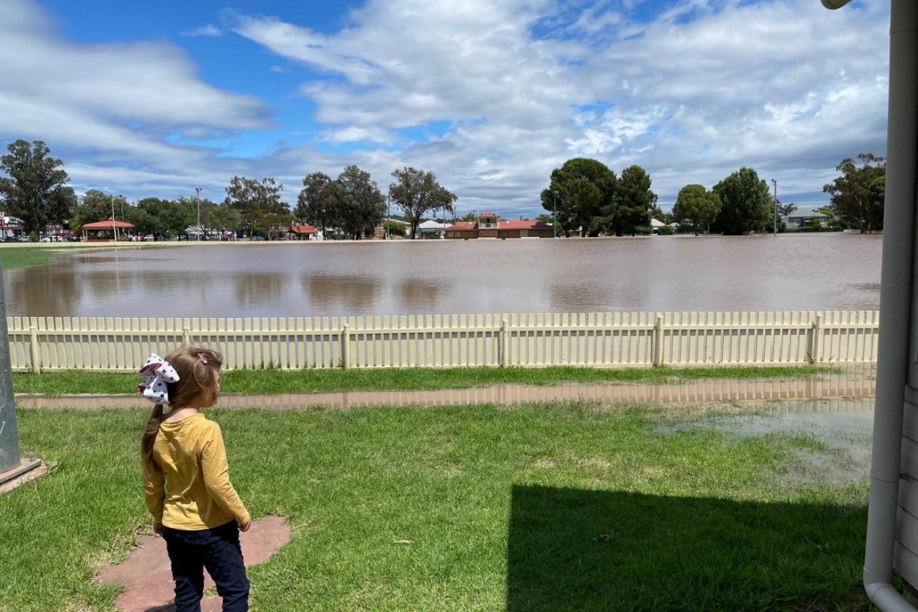 The Namoi River peaked at more than 8.5 metres on Sunday, and has remained steady since.