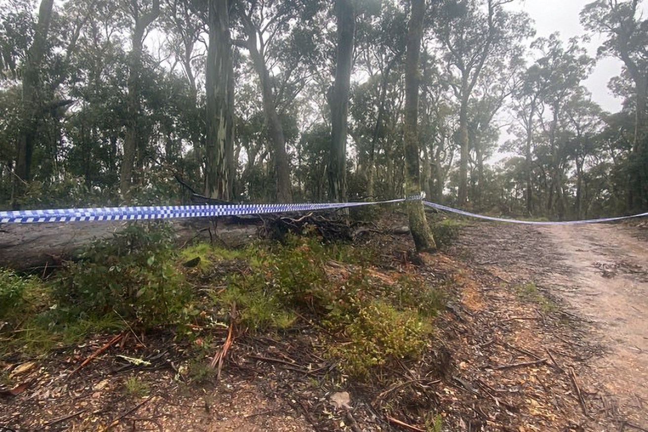 The search for the remains of Russell Hill and Carol Clay continues in Victoria's alpine region. 