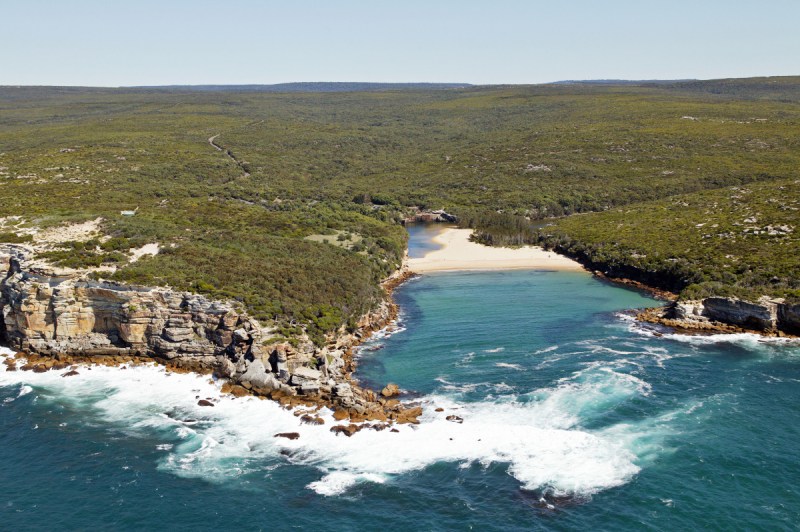 The Royal National Park in Sydney