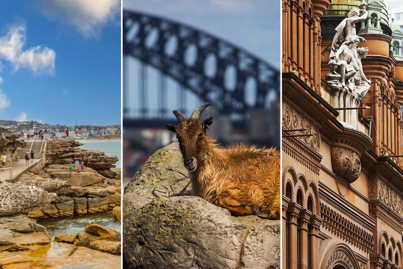 From the coast to the CBD, Sydney has plenty to offer.