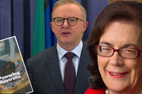 Albo plays it smart with Labor’s emissions plan