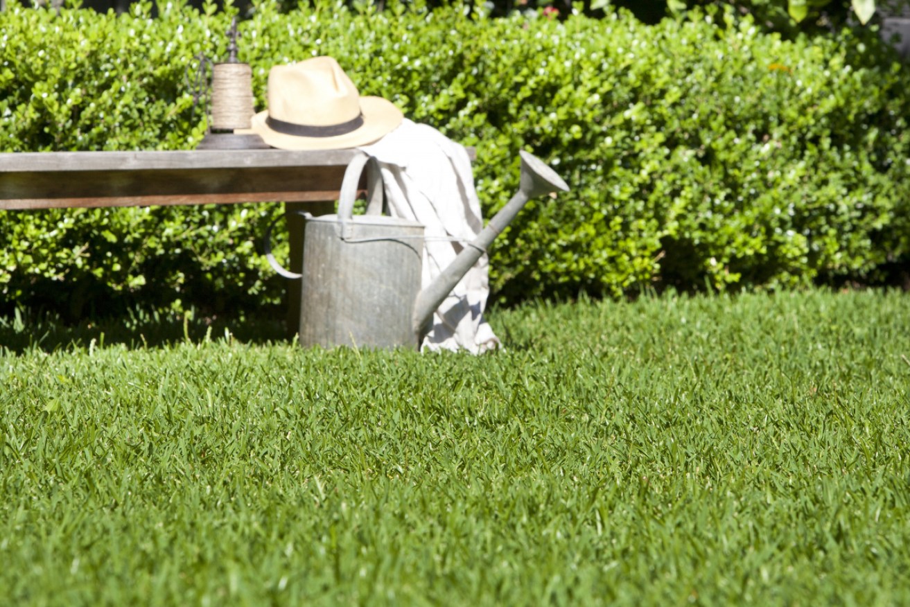 Long-time <i>Gardening Australia</i> host Peter Cundall has died aged 94.