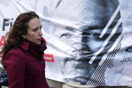 Fiancee Stella Moris says Julian Assange had mini-stroke in jail
