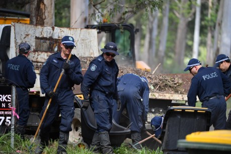 NSW Police search for remains of William Tyrrell to end soon