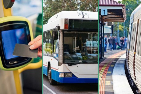 Trains, buses and trams may become less frequent
