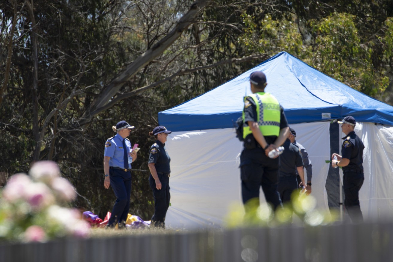 Five children were killed in a freak jumping castle accident at a primary school in Tasmania.