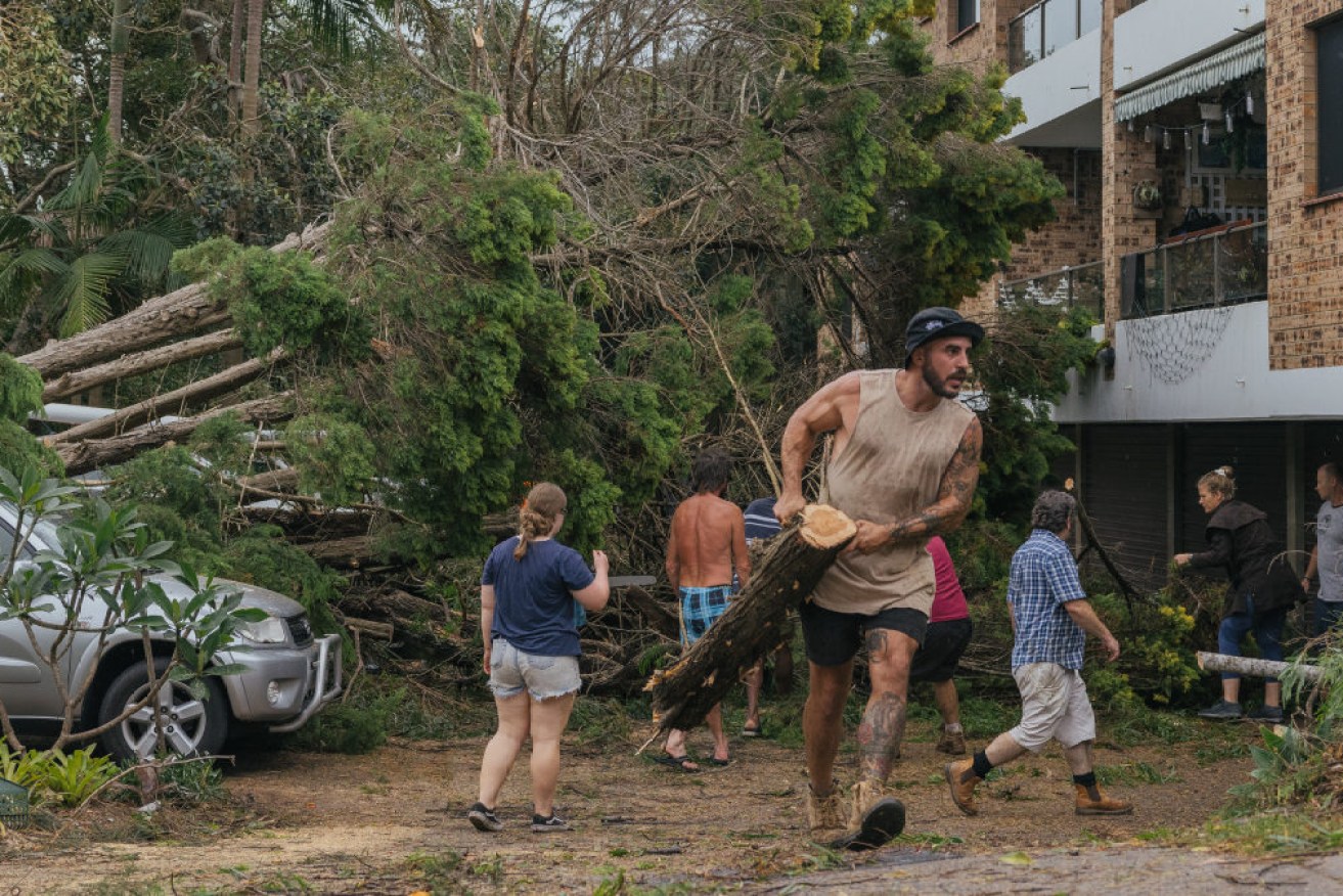 A fallen tree and powerlines during a storm has resulted in a fatality on Sydney's Northern Beaches. 