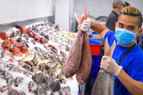 Protocols to shield seafood industry from bushfires
