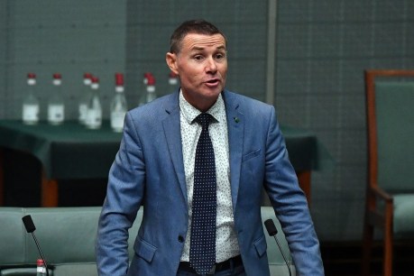 Ex-MP Andrew Laming fined over social media posts