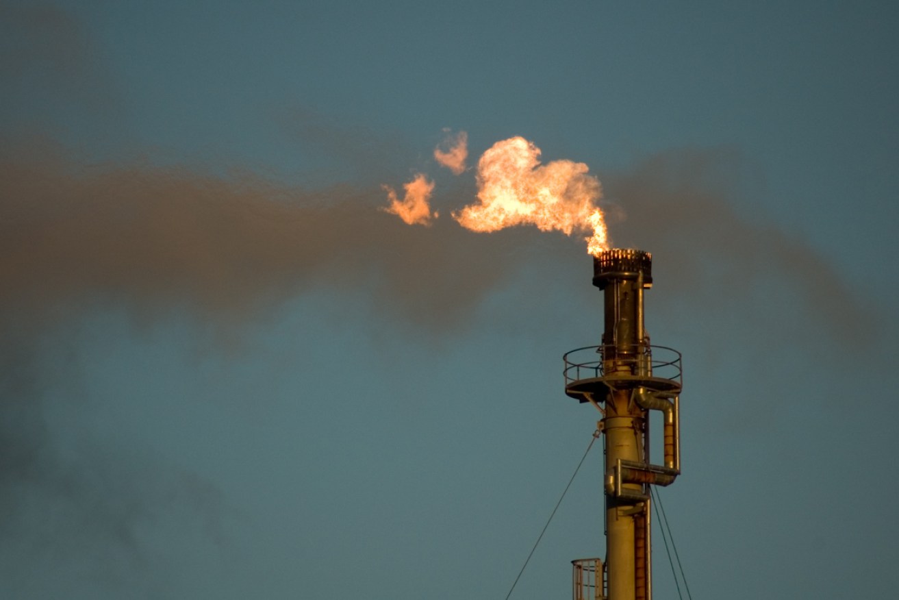 New research finds gas giants aren't paying any tax despite making billions in profits.