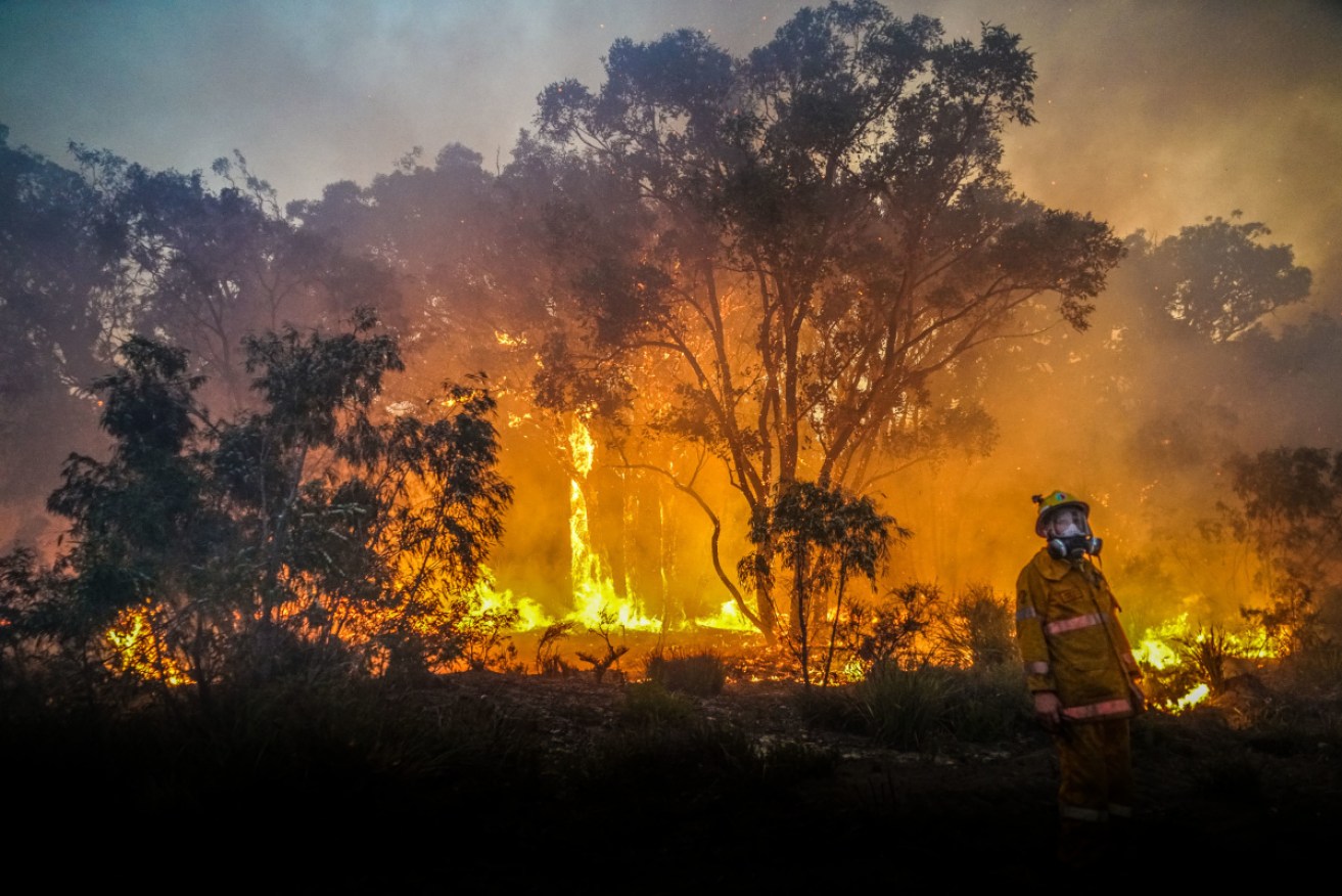 Dozens of extra rural firefighters will be hired to help prepare the state for the bushfire season.
