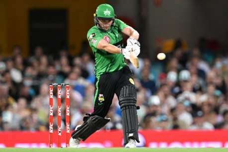 Stars edge crucial BBL win against Adelaide Strikers