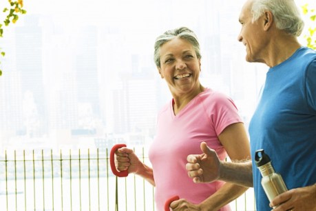 Exercise alters brain to protect ageing connections