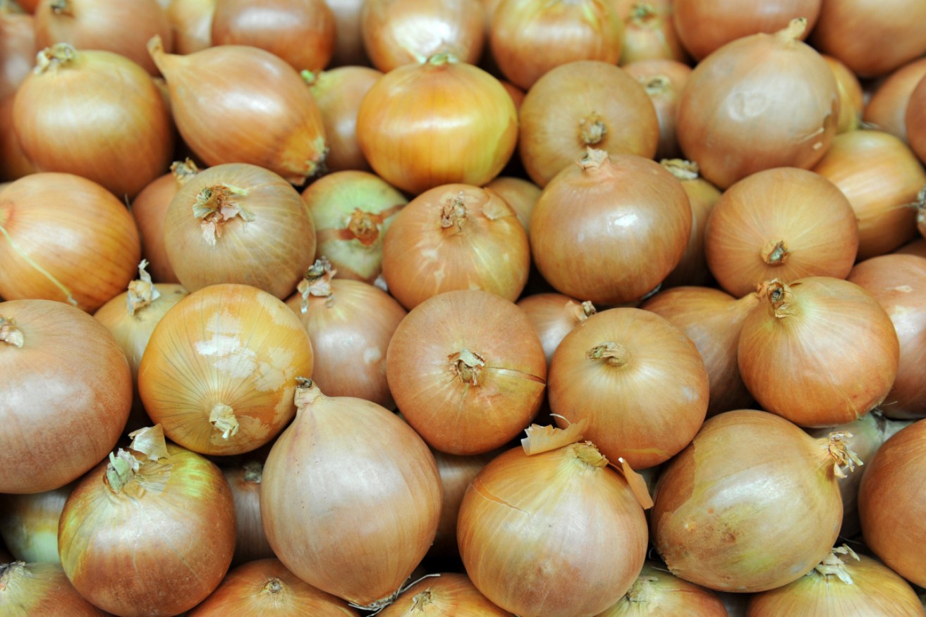 "Tearless" onions will go on sale in the UK for the first time from next week.