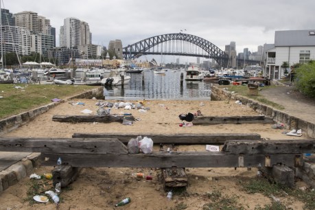 New tech scoops plastic in Sydney Harbour