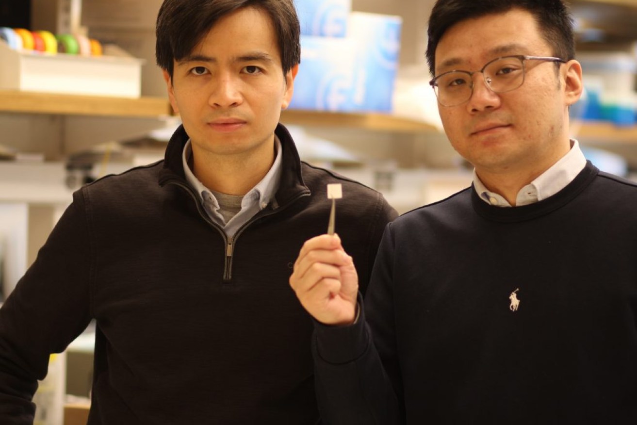 The inventors with the tissue scaffold that generates electricity when squeezed.