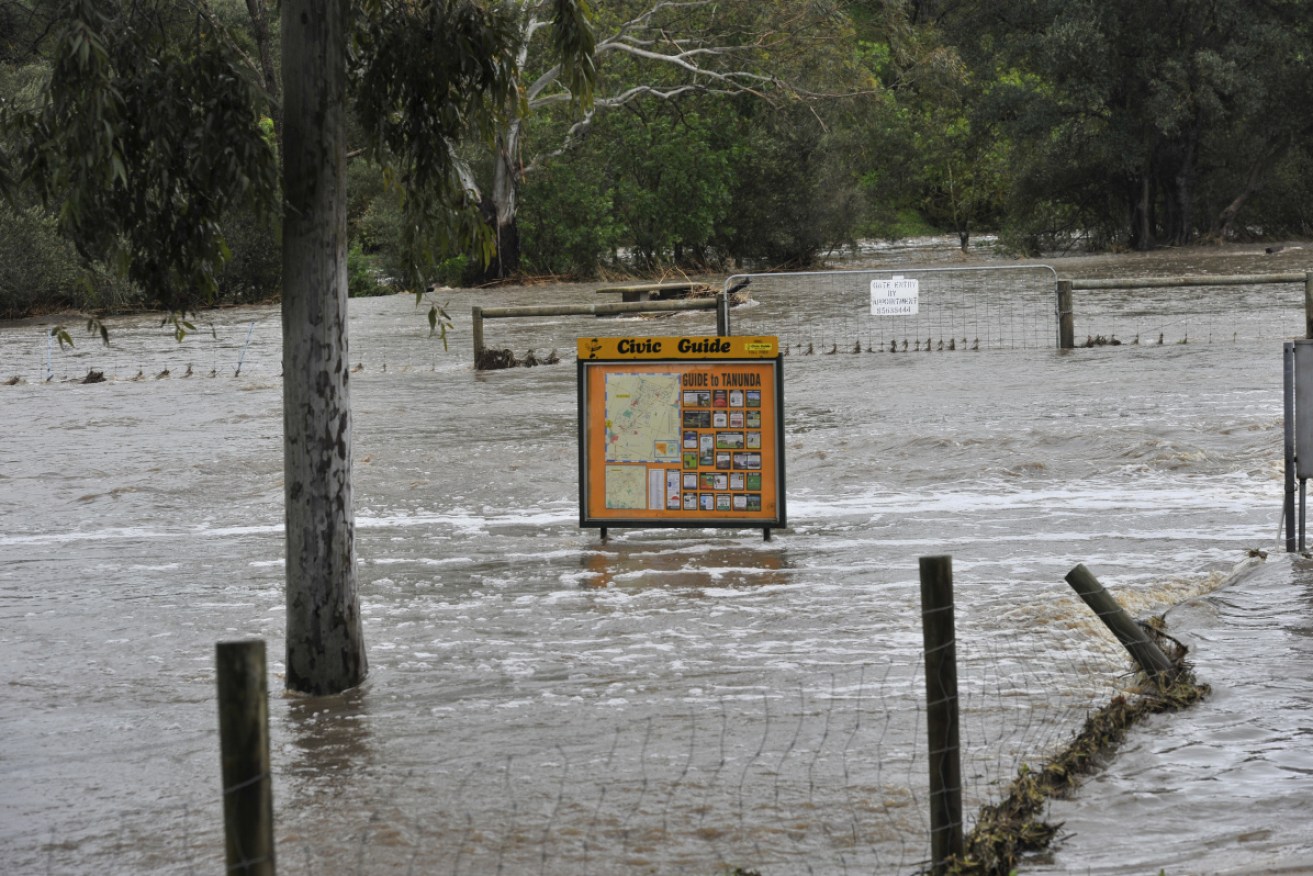 South Australia's "crazy" summer is set to continue with more rain forecast.