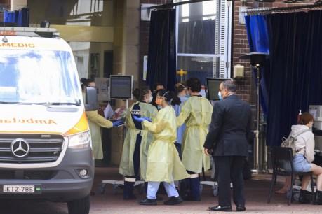 NSW nurses protest amid 29 deaths, 17,000 cases