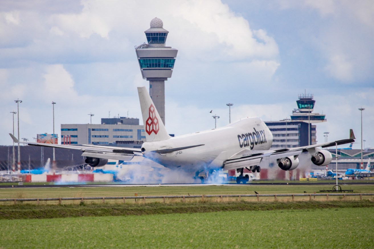 The stowaway was discovered in the wheel section of a Cargolux freight plane that landed in Amsterdam on Sunday.