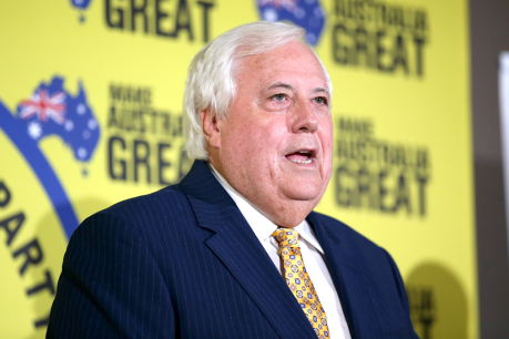 Palmer donations court action dismissed