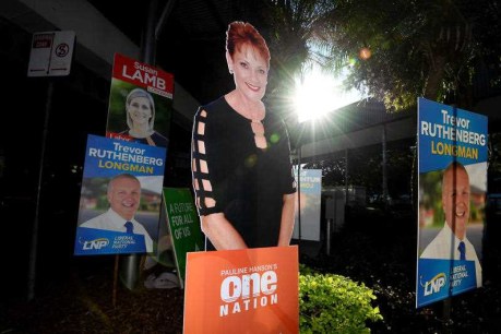 One Nation official in Qld court for fraud