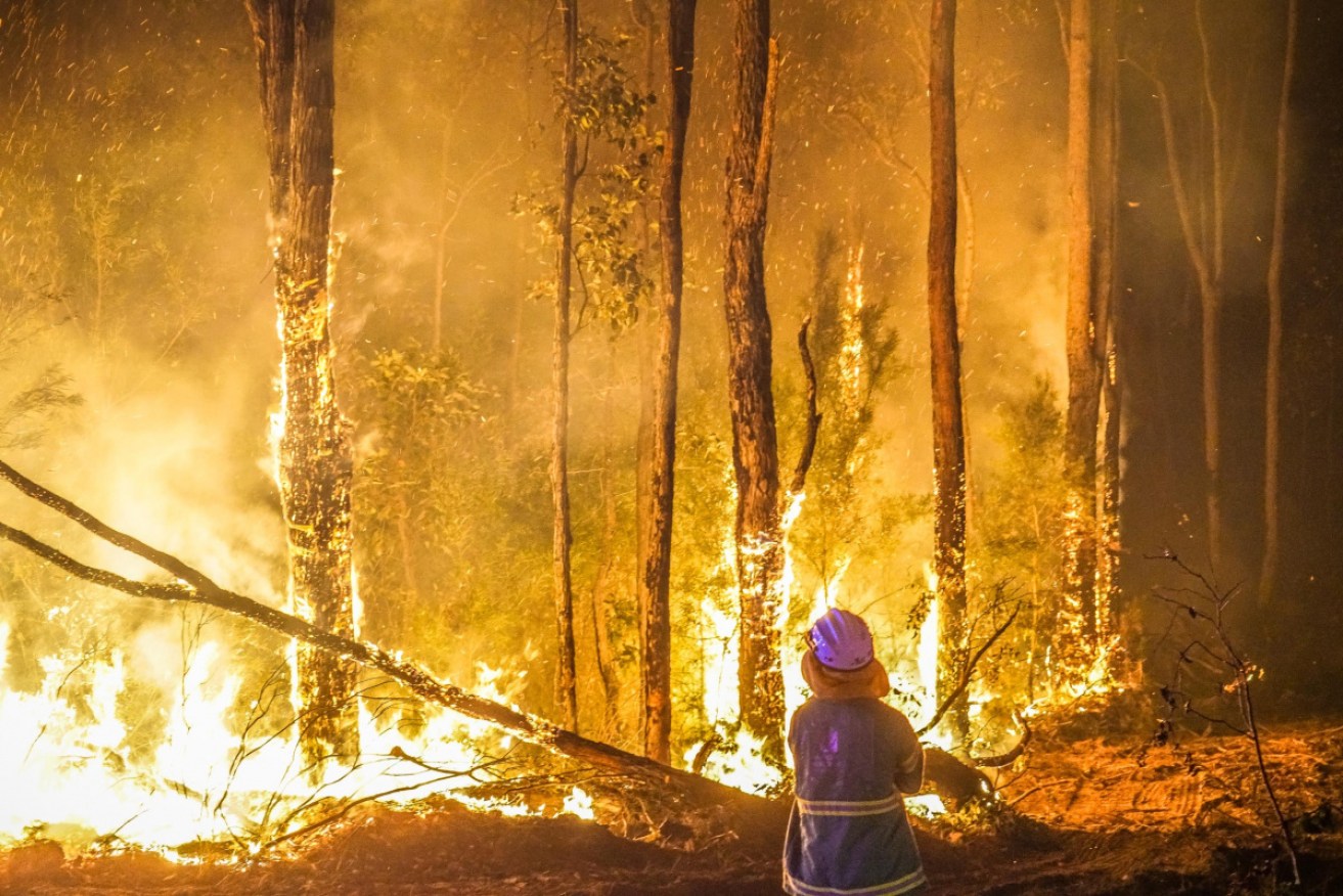 Queensland's fire season is "underway" according to the Bureau of Meteorology.  