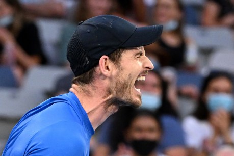 Andy Murray opts to skip French Open