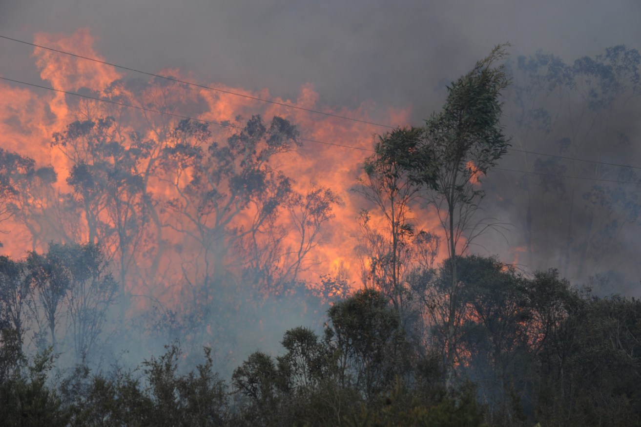 Australia's fire risk has gone beyond worst-case scenarios developed just a few years ago.