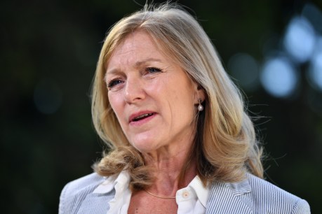 Bill to decriminalise sex work passes in Victorian Parliament