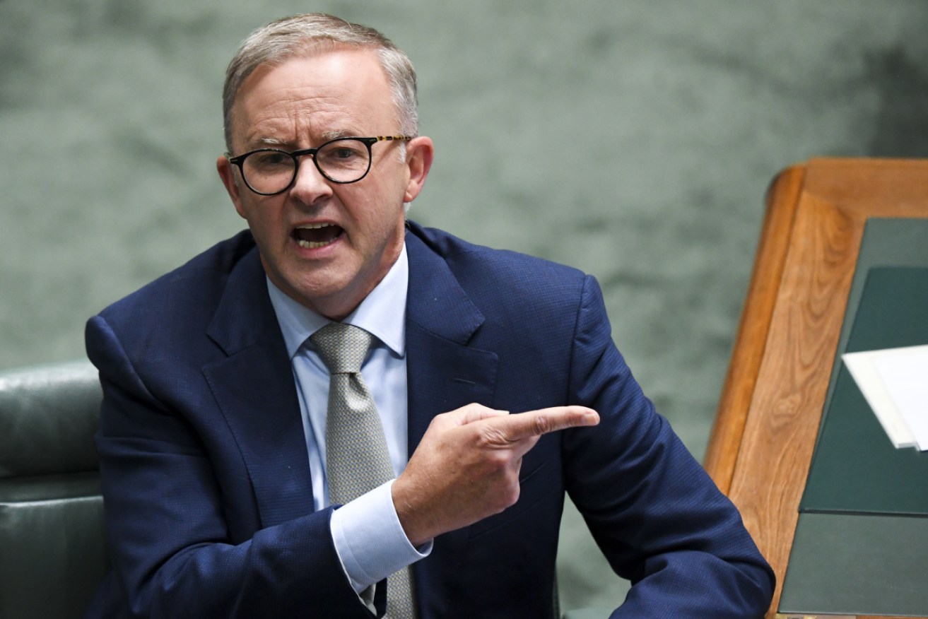 Opposition Leader Anthony Albanese in parliament this week.